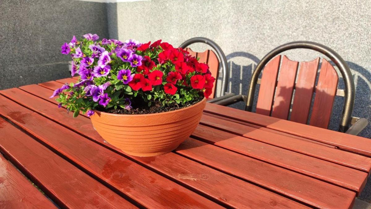 Hotel Osrodek Wczasowy Krasniczanka Muszyna Esterno foto